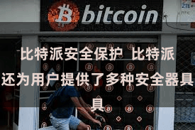 比特派安全保护 比特派还为用户提供了多种安全器具