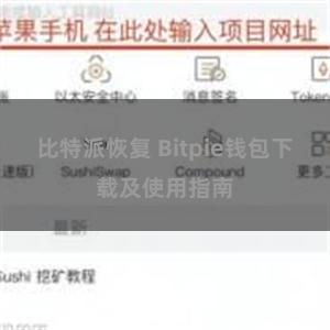 比特派恢复 Bitpie钱包下载及使用指南