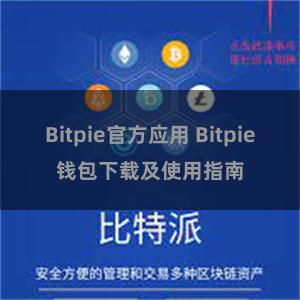 Bitpie官方应用 Bitpie钱包下载及使用指南