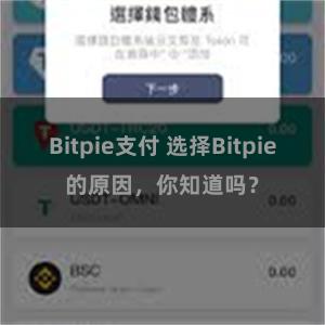 Bitpie支付 选择Bitpie的原因，你知道吗？