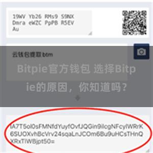 Bitpie官方钱包 选择Bitpie的原因，你知道吗？