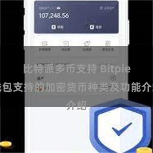 比特派多币支持 Bitpie钱包支持的加密货币种类及功能介绍