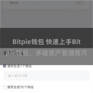 Bitpie钱包 快速上手Bitpie钱包，多链资产管理技巧