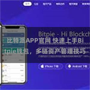 比特派APP官网 快速上手Bitpie钱包，多链资产管理技巧