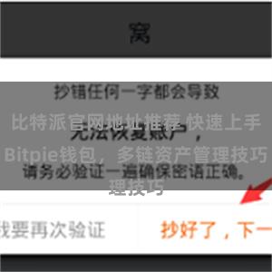 比特派官网地址推荐 快速上手Bitpie钱包，多链资产管理技巧