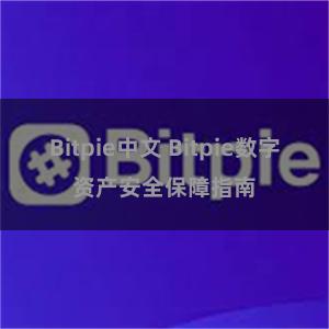 Bitpie中文 Bitpie数字资产安全保障指南