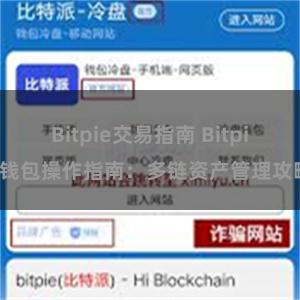 Bitpie交易指南 Bitpie钱包操作指南：多链资产管理攻略