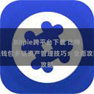 Bitpie跨平台下载 比特派钱包多链资产管理技巧：全面攻略
