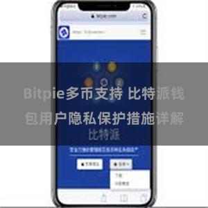 Bitpie多币支持 比特派钱包用户隐私保护措施详解