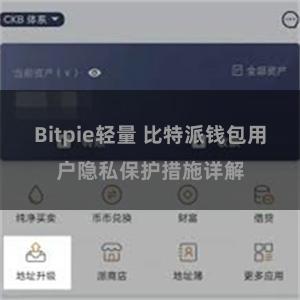 Bitpie轻量 比特派钱包用户隐私保护措施详解