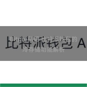 Bitpie私钥 比特派钱包的冷存储功能解析