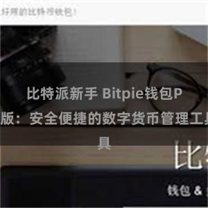 比特派新手 Bitpie钱包PC版：安全便捷的数字货币管理工具