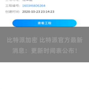 比特派加密 比特派官方最新消息：更新时间表公布！