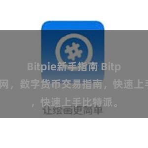 Bitpie新手指南 Bitpie教程官网，数字货币交易指南，快速上手比特派。