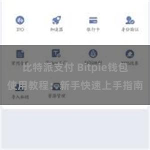 比特派支付 Bitpie钱包使用教程：新手快速上手指南