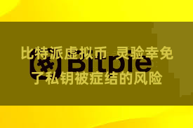 比特派虚拟币  灵验幸免了私钥被症结的风险