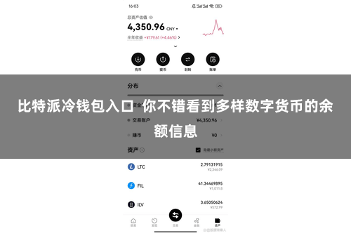 比特派冷钱包入口  你不错看到多样数字货币的余额信息