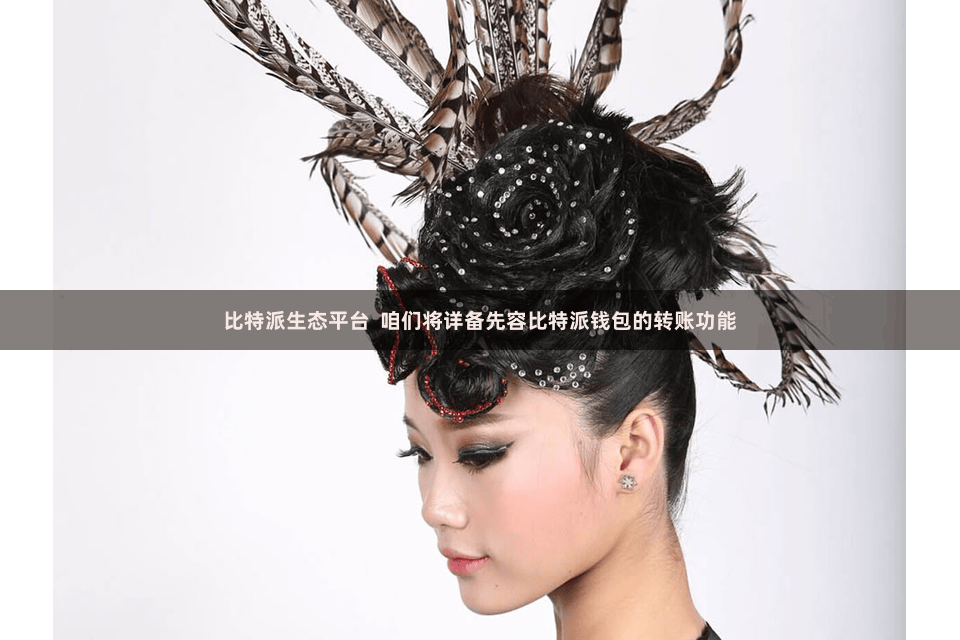 比特派生态平台  咱们将详备先容比特派钱包的转账功能