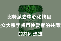 比特派去中心化钱包  恰是众大宗字货币怜爱者的共同选拔