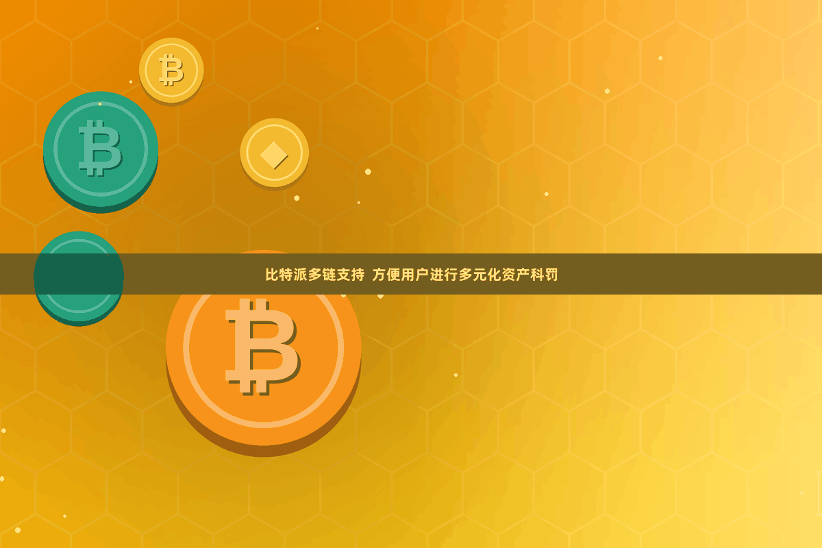 比特派多链支持  方便用户进行多元化资产科罚